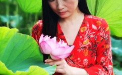 9420高清完整版在线直播